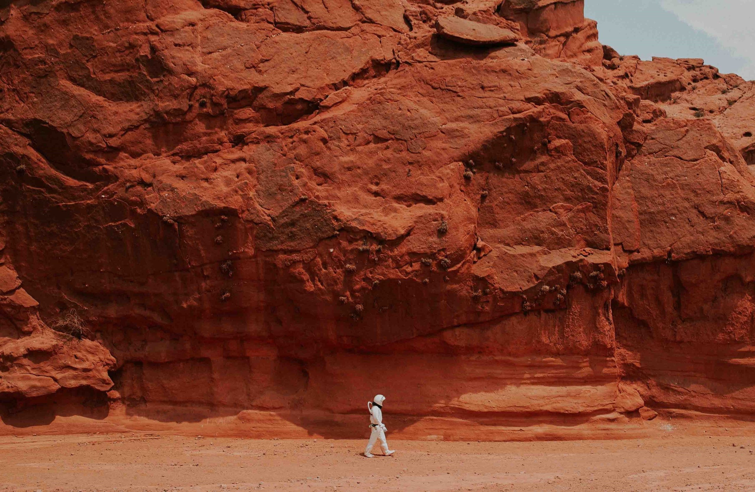 De viatjar a Mart a tenir-hi casa